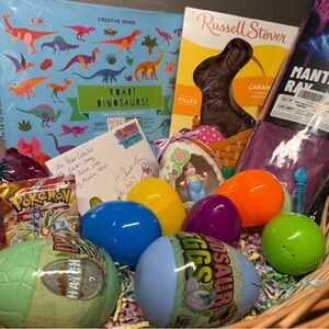 Ready To Gift Dinosaur Easter Basket (Boutique)